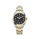 124273 Explorer watch, product photograph
